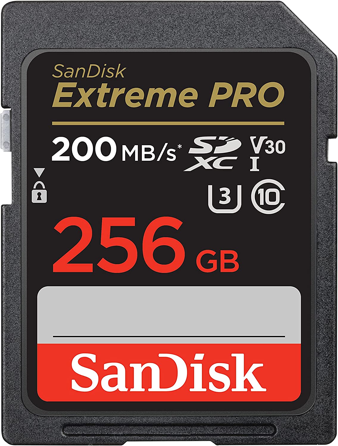256GB-SDカード